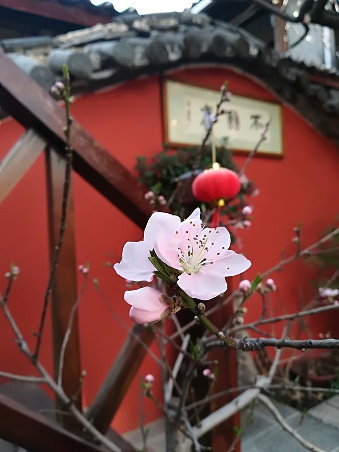 Lijiang Buwuzhai Inn Exterior foto